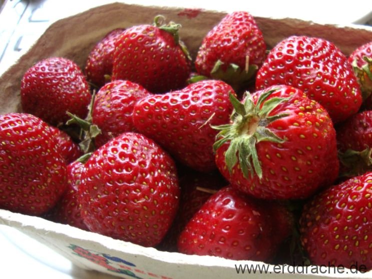 erdbeeren