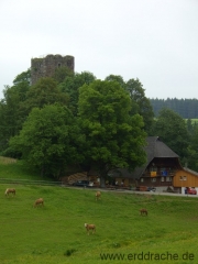 ruine-waldau