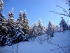 Mummelsee Hornisgrinde